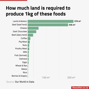 How much land is required to produce 1kg of these foods
