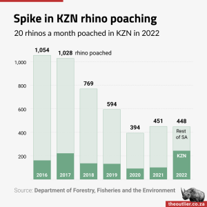 Spike in KZN rhino poaching