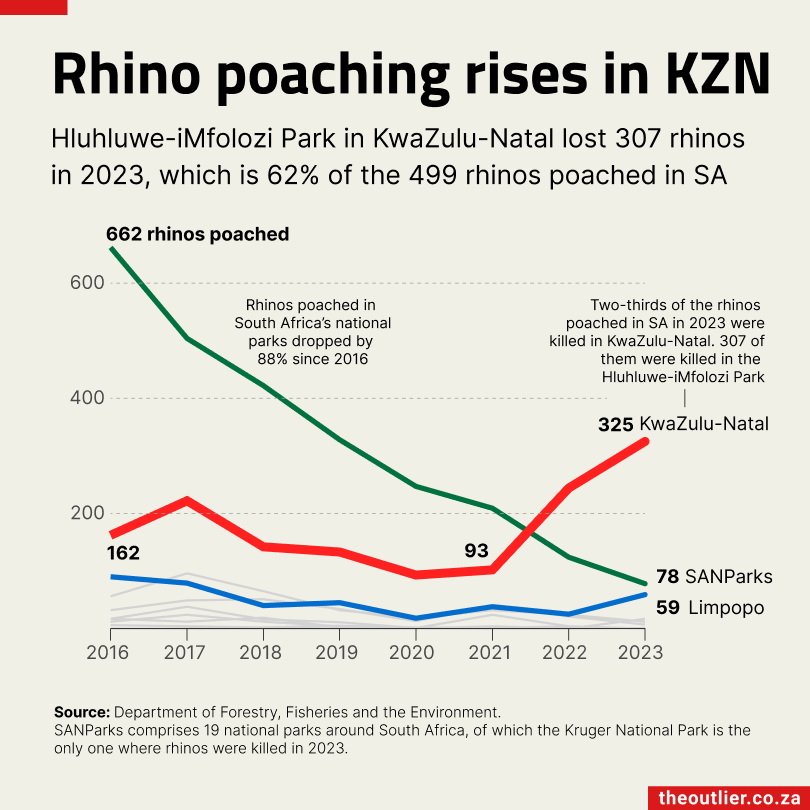 Rhino poaching Feb 2024