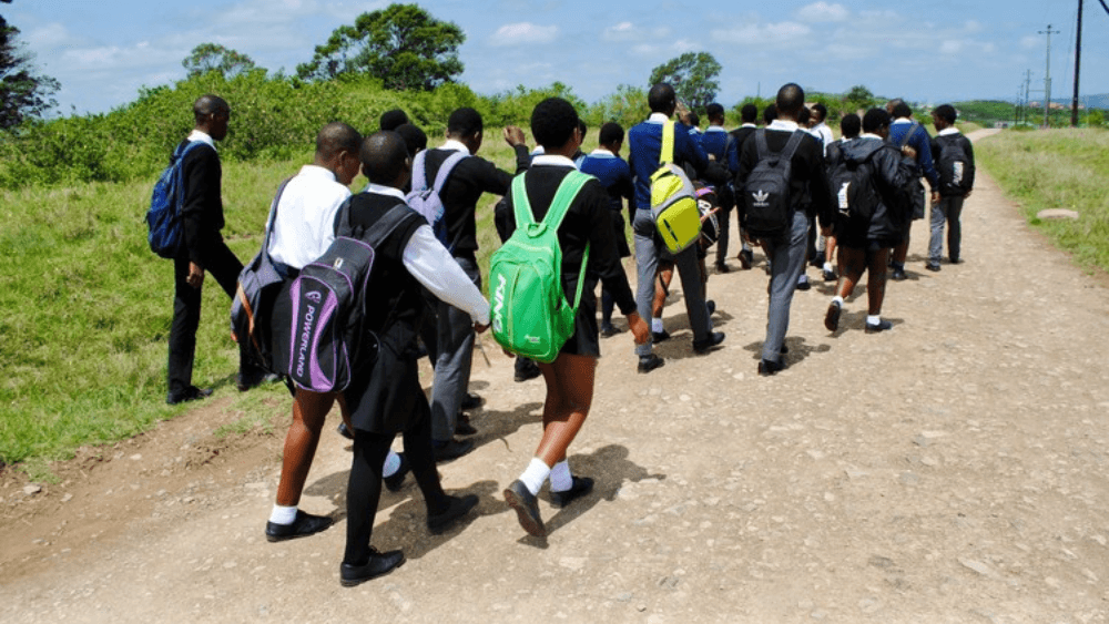 School trip: Walking is the only option for two-thirds of SA’s learners